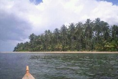 Beach Lot for Sale in Aporawan, Puerto Princesa City