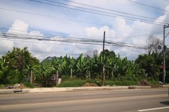 Commercial Lot for sale in Minglanilla, Cebu