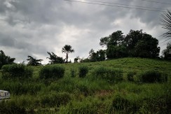 Farm Lot in Cambinocot Cebu City