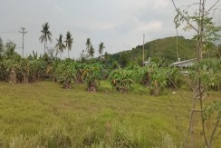 Lot for Sale in Consolacion, Cebu