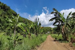 Lot for Sale in Brgy Jubay Fatima rd  Liloan, Cebu