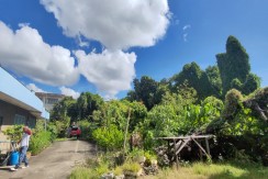 Residential Lot in Mandaue City, Cebu